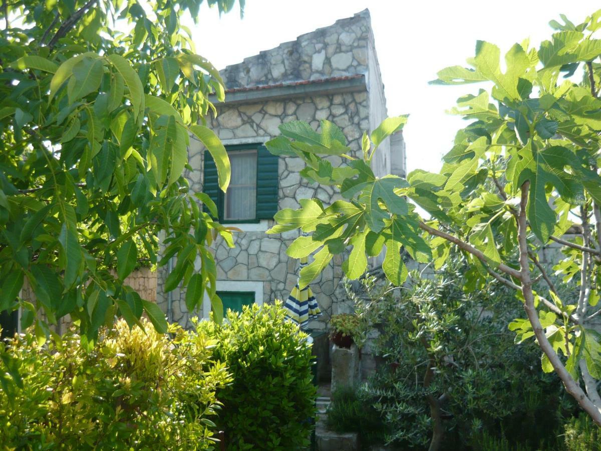 Art House Old Village 耶塞尼采 外观 照片